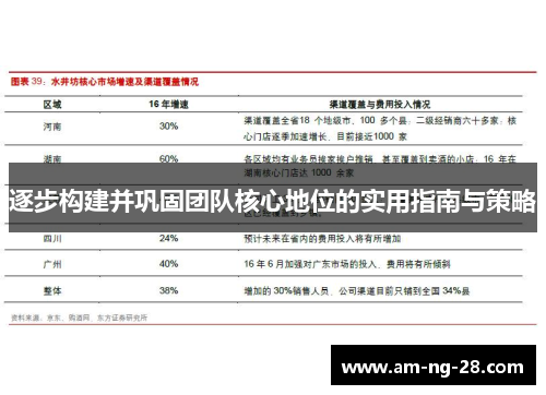 逐步构建并巩固团队核心地位的实用指南与策略