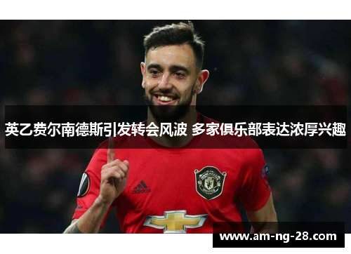 英乙费尔南德斯引发转会风波 多家俱乐部表达浓厚兴趣