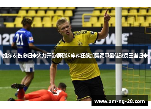 维尔茨伤愈归来火力开带领勒沃库森狂飙加冕德甲最佳球员王者归来