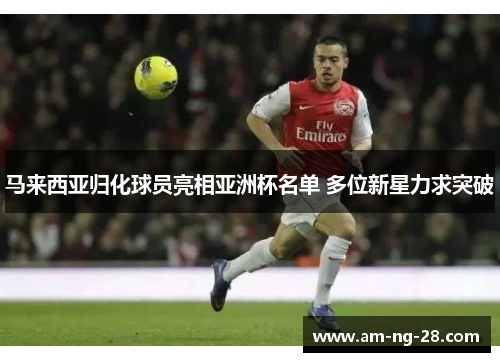 马来西亚归化球员亮相亚洲杯名单 多位新星力求突破